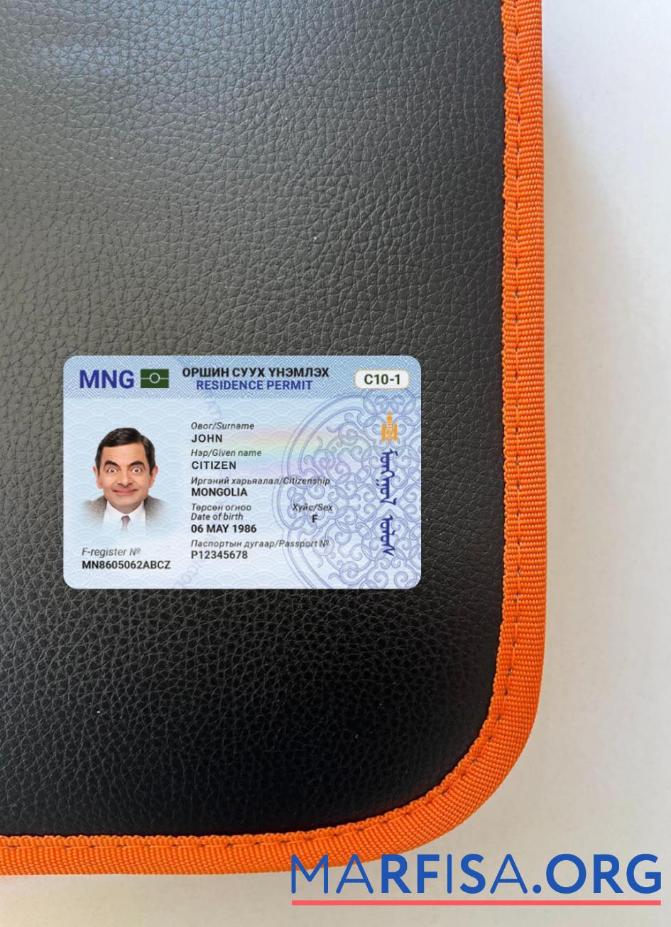 Downloadable Mongolia residence permit photolook front example